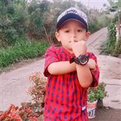 Giả