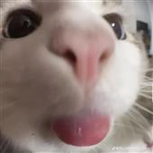 Chú
