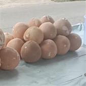 Nằm