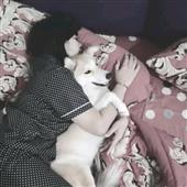 Lịc