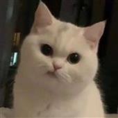 Ngư