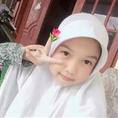 Biể