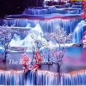 Bản