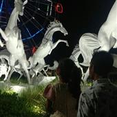 Bản