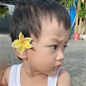 Sức