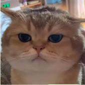 Bắt