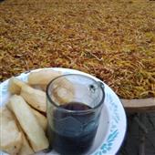 Đán