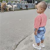 vận