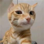 Tiề