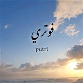 Phỉ
