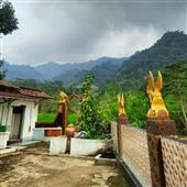 Mạt
