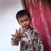 Giả