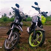 Cuố