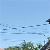 Tỷ 