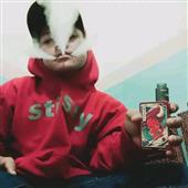 Vua