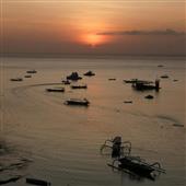 Đậu