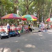 Bảo
