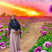 Siê