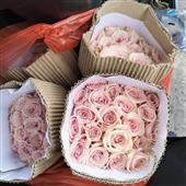 Bầu