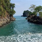 Tỷ 