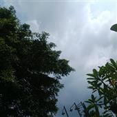 Kết