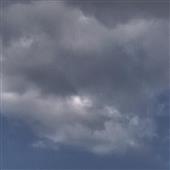 Mơ 