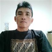 Gấu