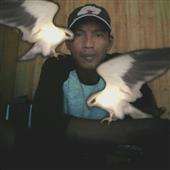 App