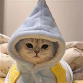 Vòn