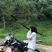 Giả