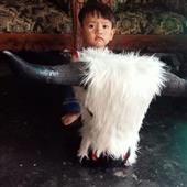 Đế 