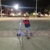Giả