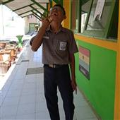 Trự