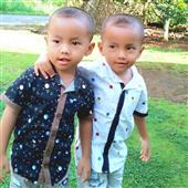 Bản