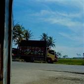 Cuộ