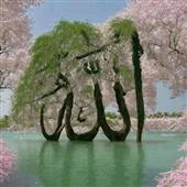 Bản