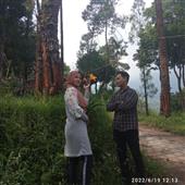 Thế