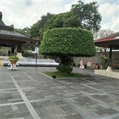 Băn
