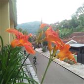 Sự 