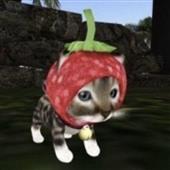 Các