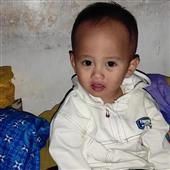 Cỏ 