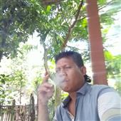 Bản
