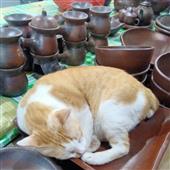 Xiế