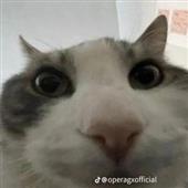 Onl