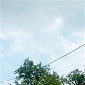 CUỐ
