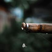 trậ
